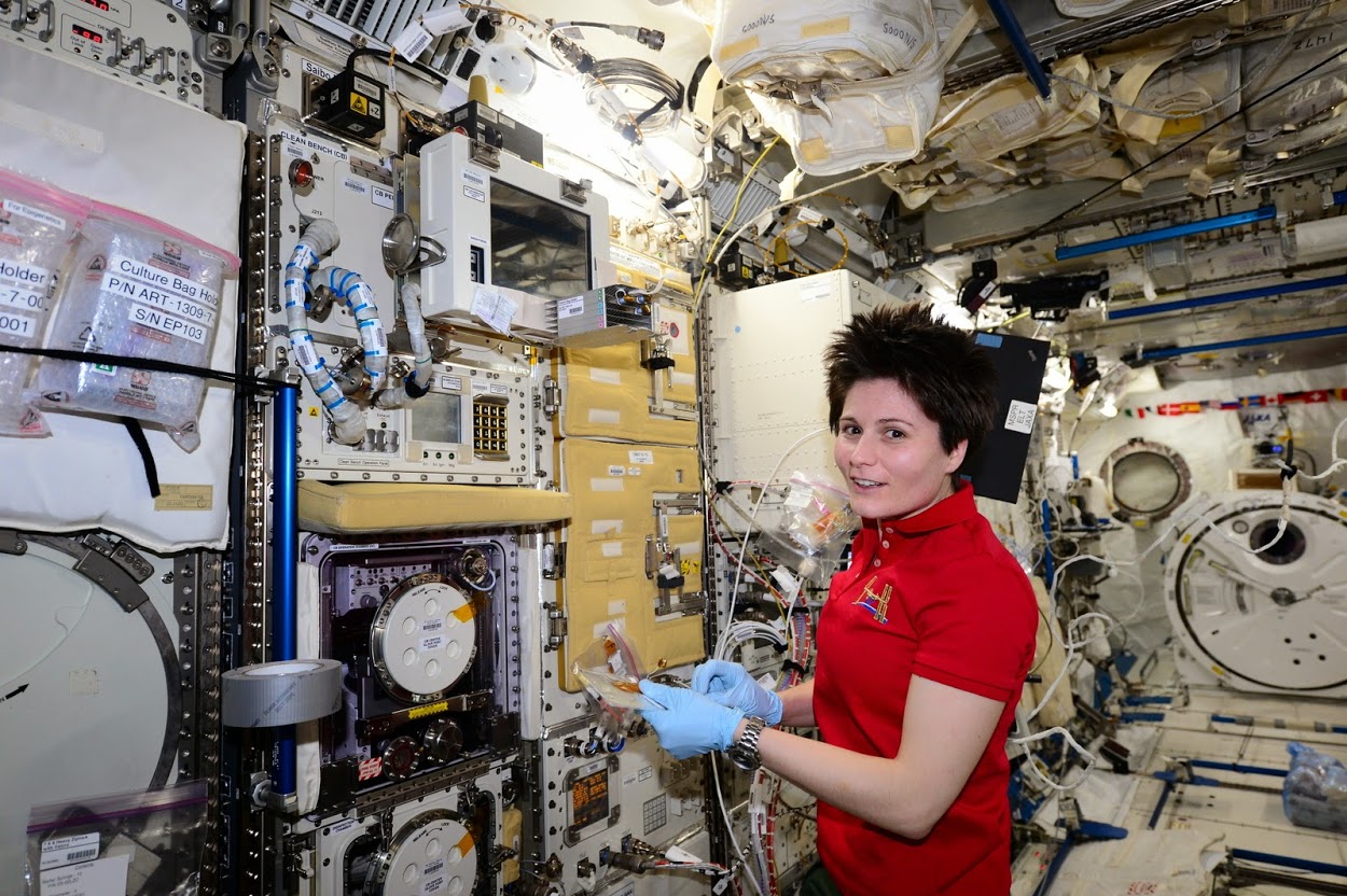L+65 Samantha Cristoforetti menant des expériences à bord de l'ISS